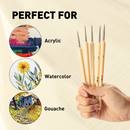 5pcs Artist Detail Paint Brush Set by Himi- high quality Taklon Bristles