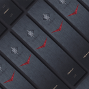 MIYA BLACK KNIGHT PAINT BRUSHES, 11PCS, BLACK