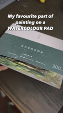 Wood Pulp Watercolour Pads 300gsm 20 pages Cold Press - 🎨Artbyharshi